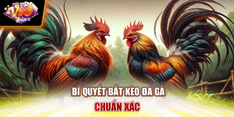 Bí quyết bắt kèo đá gà chuẩn xác