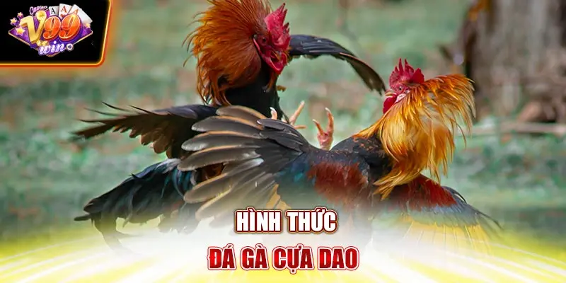 Hình thức đá gà cựa dao