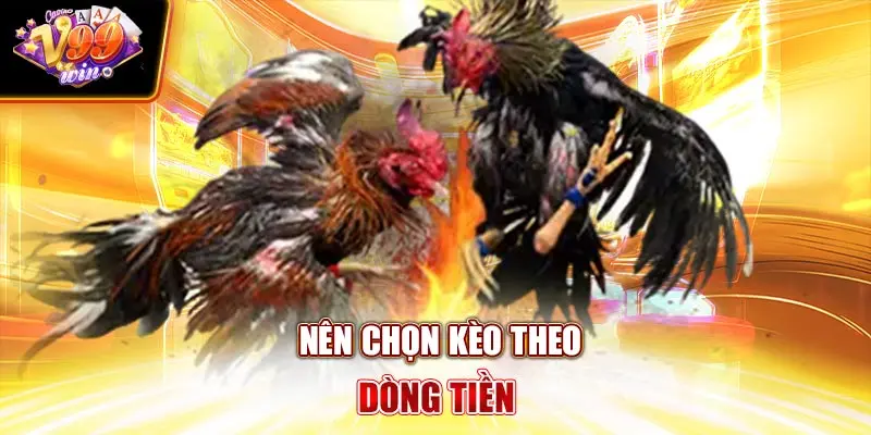 Nên chọn kèo theo dòng tiền