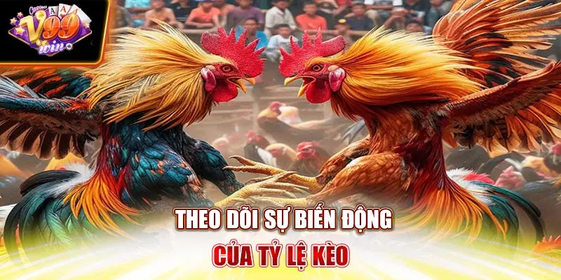 Theo dõi sự biến động của tỷ lệ kèo