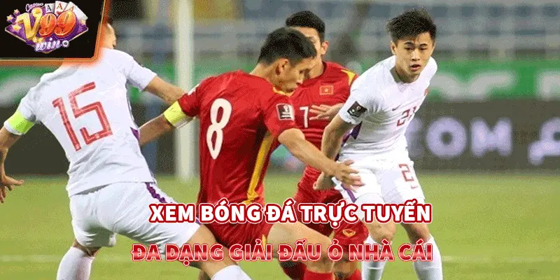 Xem bóng đá trực tuyến đa dạng giải đấu ỏ nhà cái